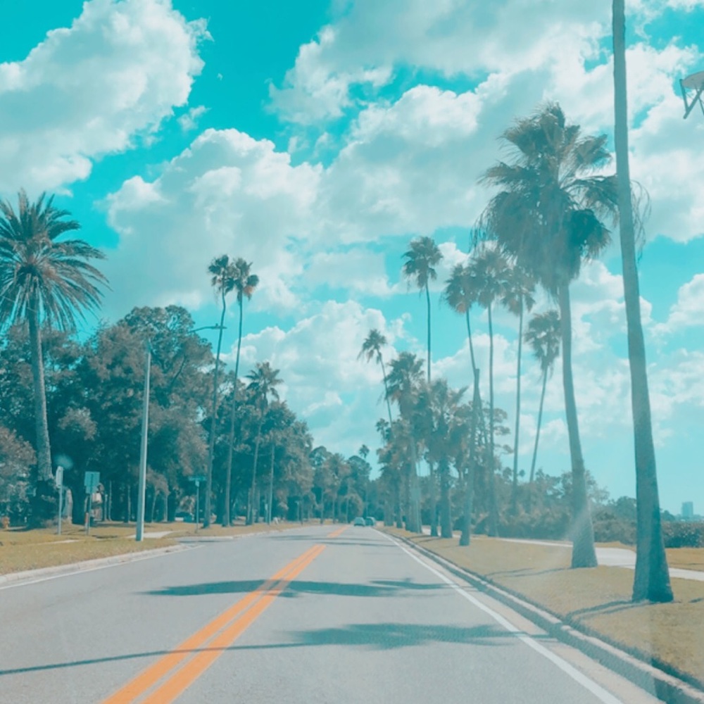 Meet your Posher, Rhiannon